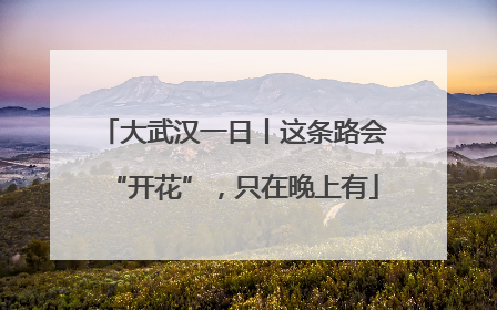 大武汉一日丨这条路会“开花”，只在晚上有