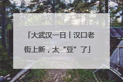 大武汉一日︱汉口老街上新，太“豆”了