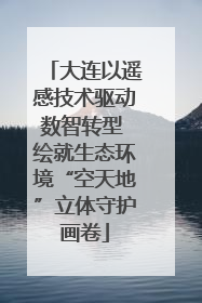 大连以遥感技术驱动数智转型 绘就生态环境“空天地”立体守护画卷