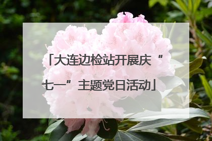 大连边检站开展庆“七一”主题党日活动