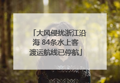 大风侵扰浙江沿海 84条水上客渡运航线已停航