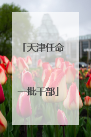 天津任命一批干部