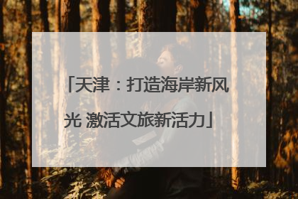 天津：打造海岸新风光 激活文旅新活力