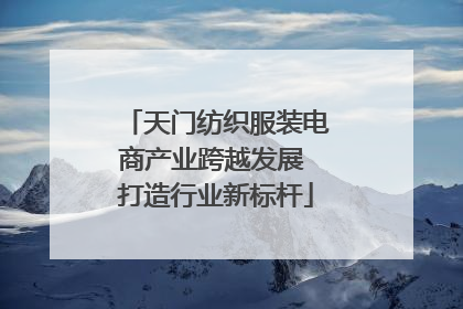 天门纺织服装电商产业跨越发展 打造行业新标杆
