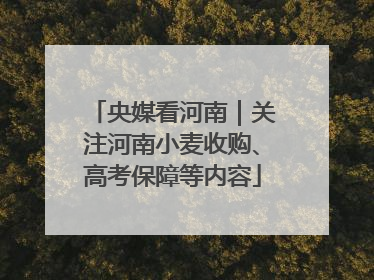 央媒看河南｜关注河南小麦收购、高考保障等内容
