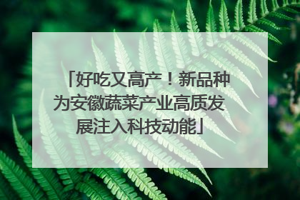 好吃又高产！新品种为安徽蔬菜产业高质发展注入科技动能