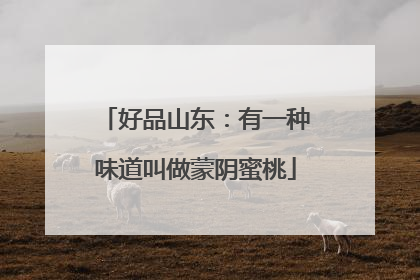 好品山东：有一种味道叫做蒙阴蜜桃
