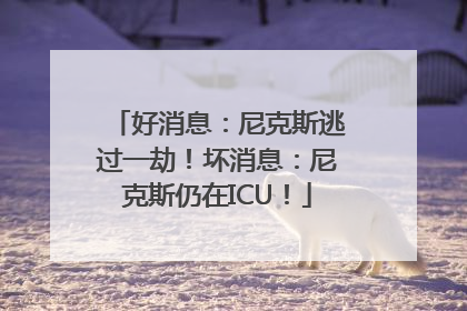 好消息：尼克斯逃过一劫！坏消息：尼克斯仍在ICU！