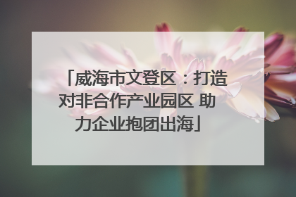 威海市文登区：打造对非合作产业园区 助力企业抱团出海