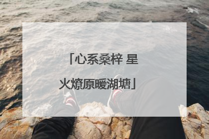 心系桑梓 星火燎原暖湖塘