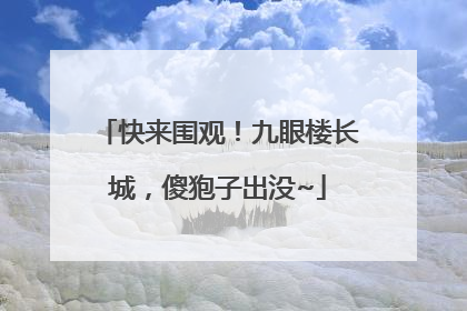 快来围观！九眼楼长城，傻狍子出没~