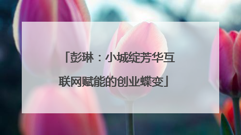 彭琳：小城绽芳华互联网赋能的创业蝶变