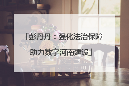 彭丹丹：强化法治保障 助力数字河南建设