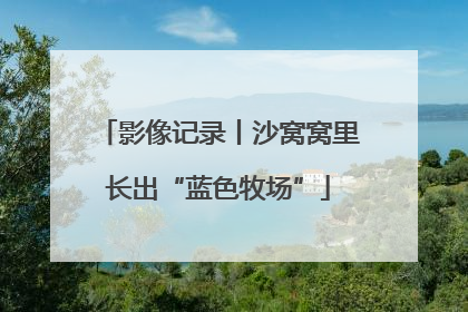影像记录丨沙窝窝里长出“蓝色牧场”
