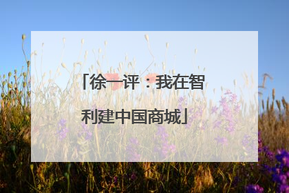 徐一评：我在智利建中国商城