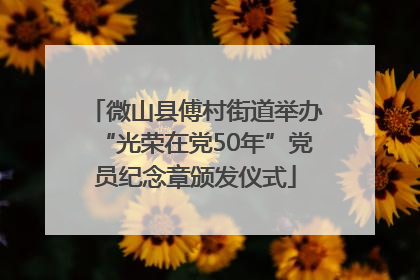 微山县傅村街道举办“光荣在党50年”党员纪念章颁发仪式