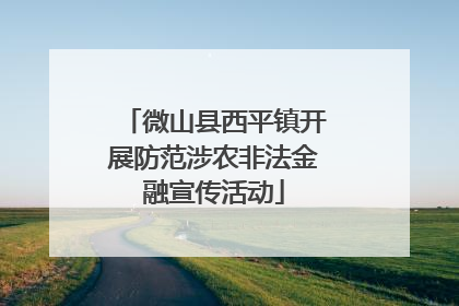 微山县西平镇开展防范涉农非法金融宣传活动