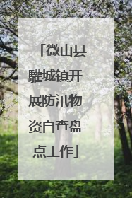 微山县驩城镇开展防汛物资自查盘点工作