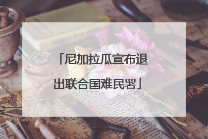 尼加拉瓜宣布退出联合国难民署