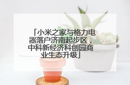 小米之家与格力电器落户济南起步区，中科新经济科创园商业生态升级