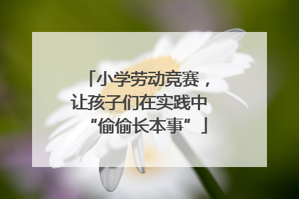 小学劳动竞赛，让孩子们在实践中“偷偷长本事”