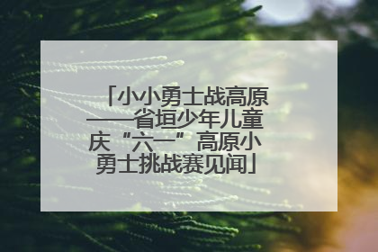 小小勇士战高原——省垣少年儿童庆“六一”高原小勇士挑战赛见闻