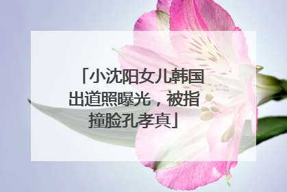 小沈阳女儿韩国出道照曝光，被指撞脸孔孝真