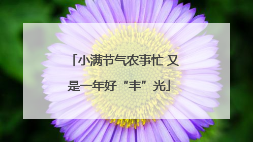 小满节气农事忙 又是一年好“丰”光