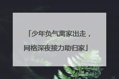 少年负气离家出走，网格深夜接力助归家