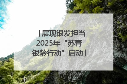 展现银发担当 2025年“苏青银龄行动”启动