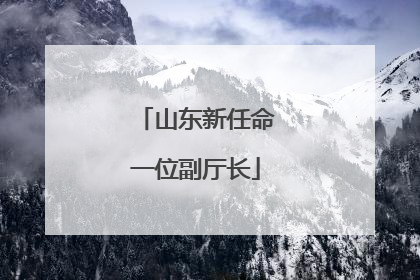 山东新任命一位副厅长