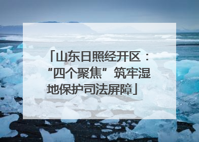 山东日照经开区：“四个聚焦”筑牢湿地保护司法屏障
