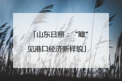山东日照：“瞰”见港口经济新样貌