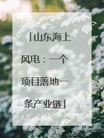山东海上风电：一个项目落地一条产业链