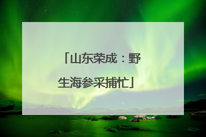 山东荣成：野生海参采捕忙