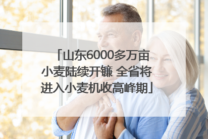 山东6000多万亩小麦陆续开镰 全省将进入小麦机收高峰期