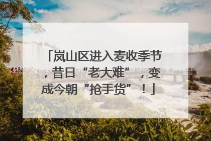 岚山区进入麦收季节，昔日“老大难”，变成今朝“抢手货”！