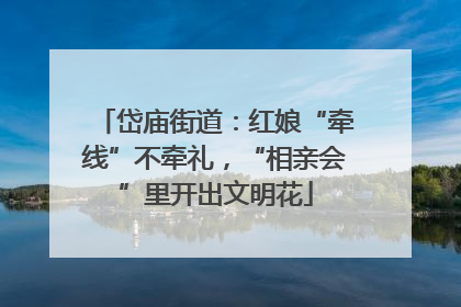 岱庙街道：红娘“牵线”不牵礼，“相亲会”里开出文明花