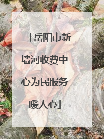 岳阳市新墙河收费中心为民服务暖人心
