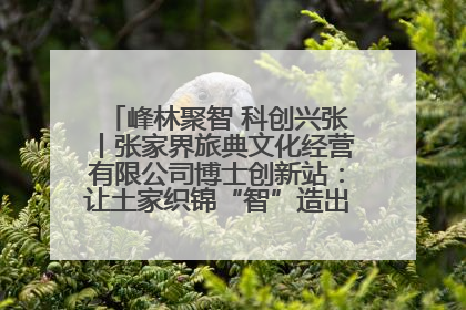 峰林聚智 科创兴张丨张家界旅典文化经营有限公司博士创新站：让土家织锦“智”造出非遗新传奇