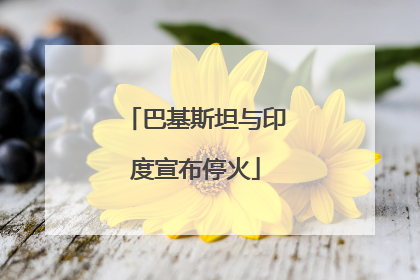 巴基斯坦与印度宣布停火