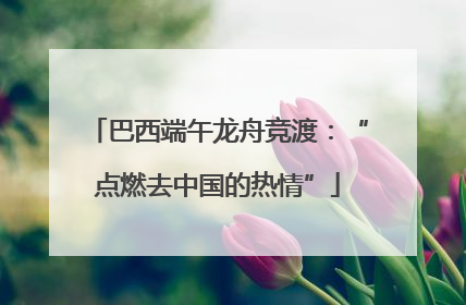 巴西端午龙舟竞渡：“点燃去中国的热情”