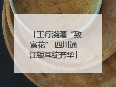 工行浇灌“致富花” 四川通江银耳绽芳华