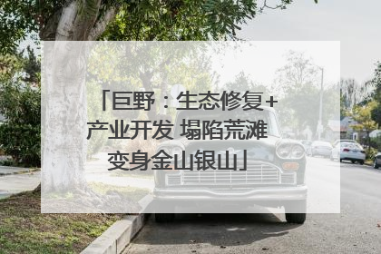巨野：生态修复+产业开发 塌陷荒滩变身金山银山