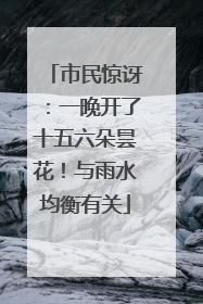 市民惊讶：一晚开了十五六朵昙花！与雨水均衡有关