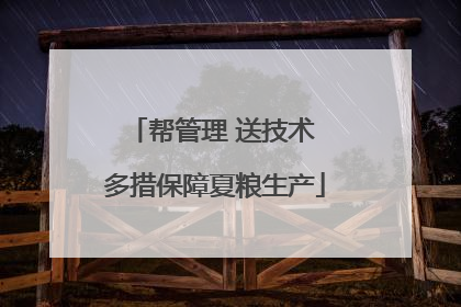 帮管理 送技术 多措保障夏粮生产