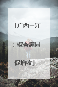 广西三江：椒香满园促增收