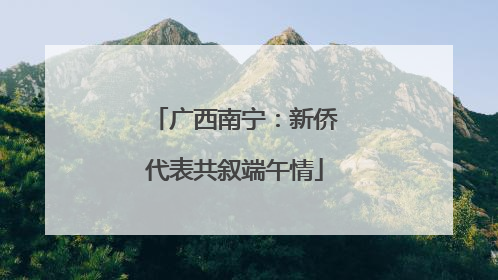 广西南宁：新侨代表共叙端午情