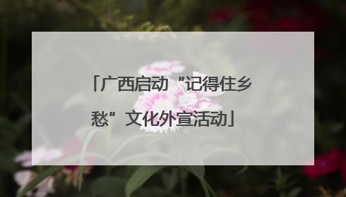 广西启动“记得住乡愁”文化外宣活动