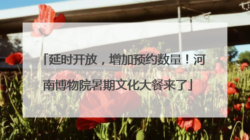延时开放，增加预约数量！河南博物院暑期文化大餐来了